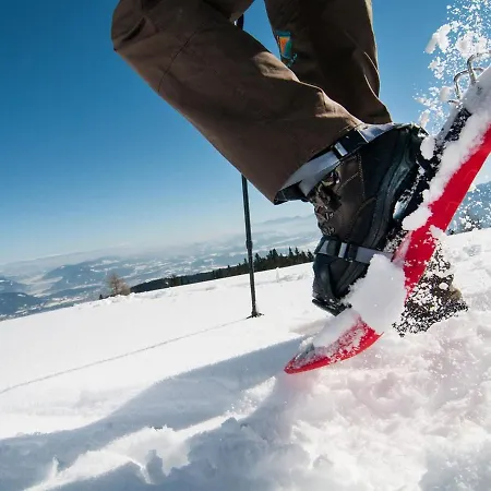 Landskron Alpe Maritima Ski & See -top 7 By Interhome Daire *
